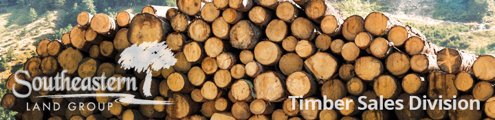 Timber Sales Division