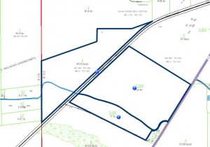 131 acre Dallas Co Skelton tax map