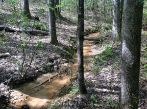 164 acres +/- of land for sale in Tuscaloosa County, Alabama