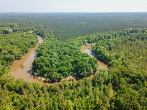 Land for Sale on the Cahaba River in Perry County, Alabama