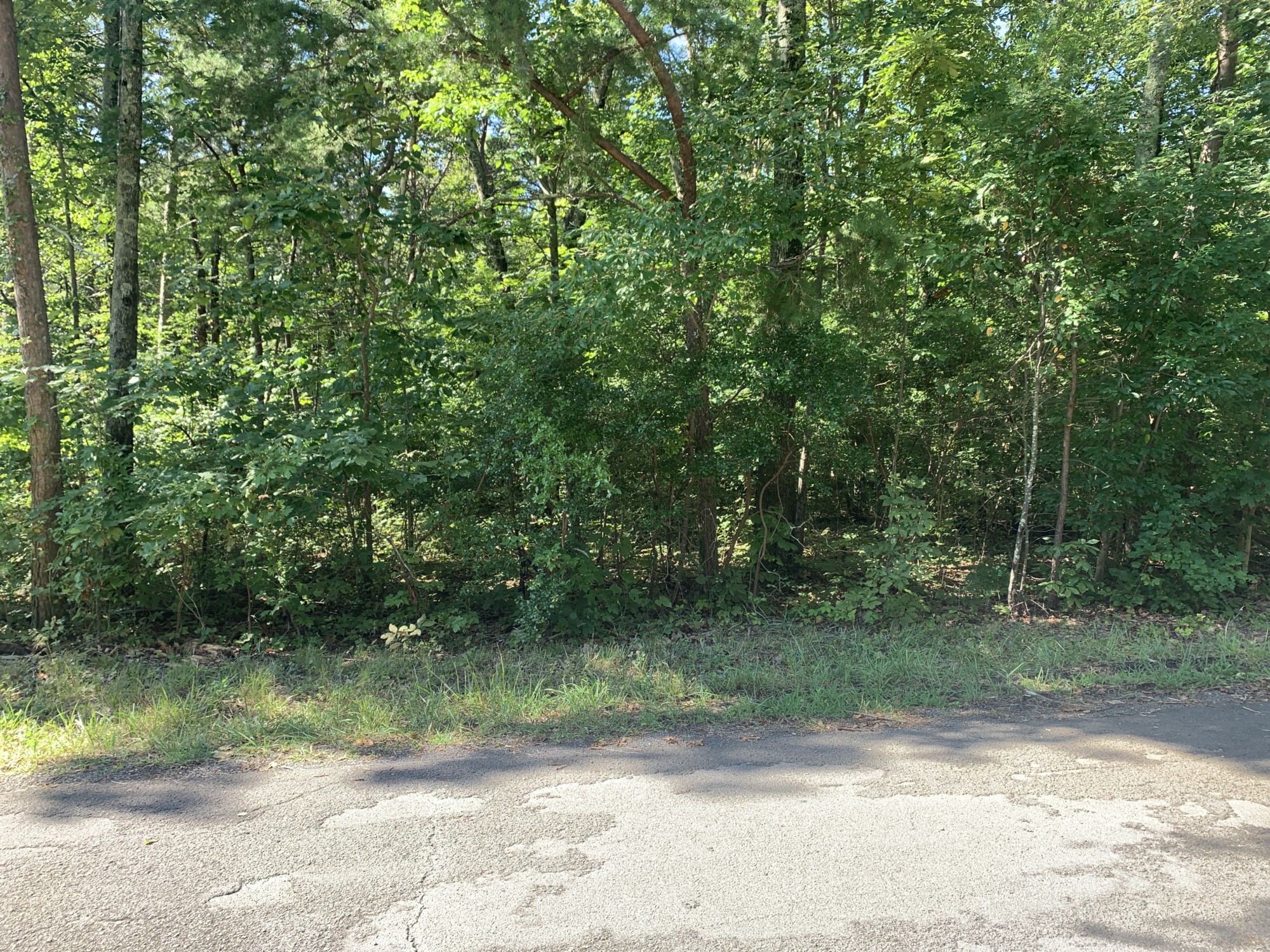 SOLD- Lot - Fort Payne, AL - Southeastern Land Group