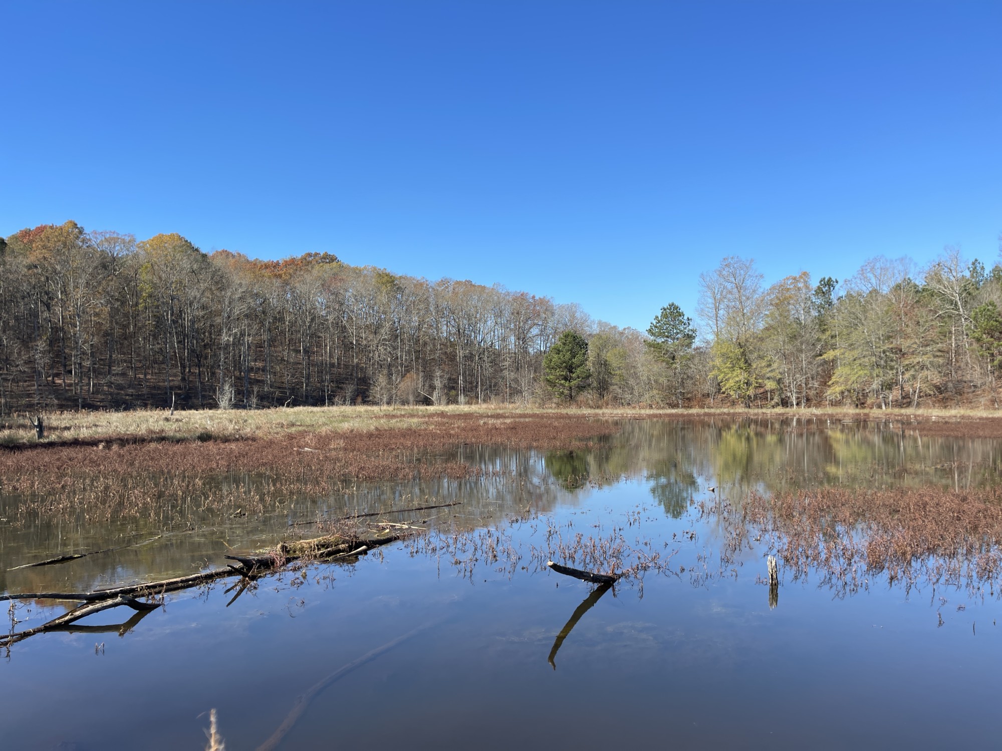 183+/- Acres- Oglethorpe County,GA - Southeastern Land Group